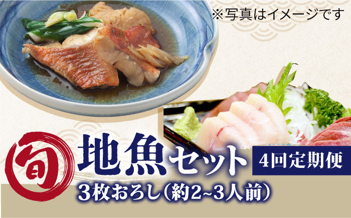 
                  【4回定期便】旬の地魚セット2-3人前（3枚卸し）真空パック[PBJ001] 冷蔵 皮あり 新鮮 鮮魚 魚介 定期便
                