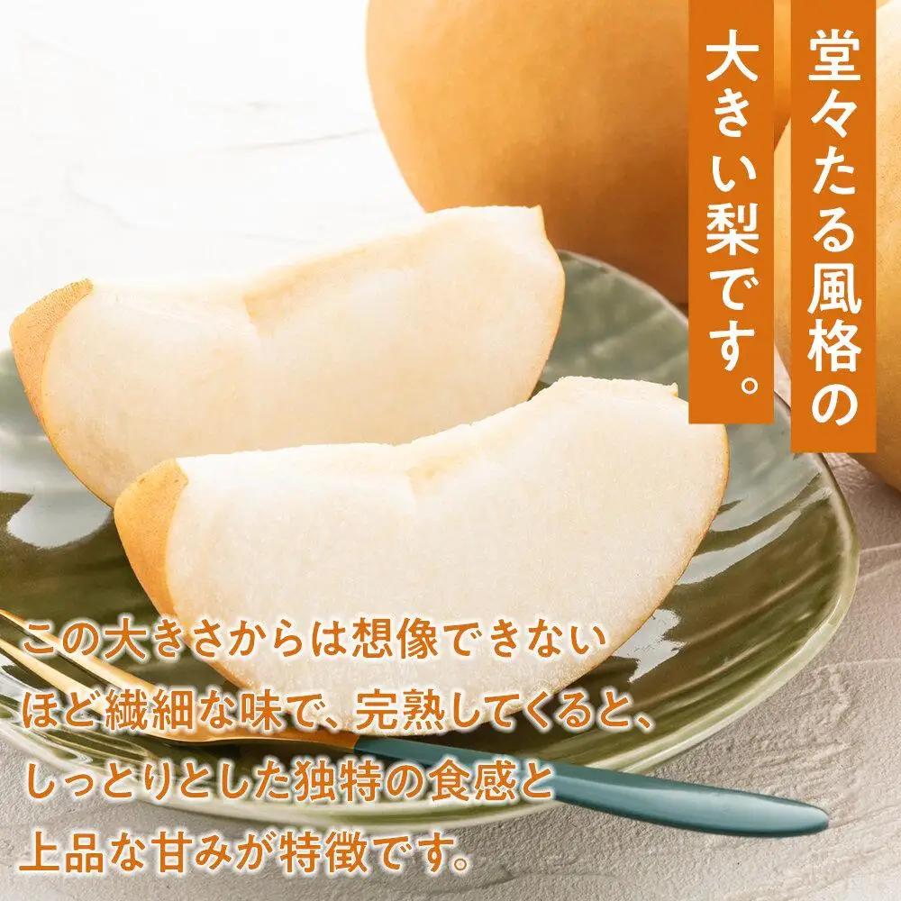 梨 2026年 あたご 梨 2玉（1玉約750g）合計約1.5kg  岡山県産 フルーツ 果物 ギフト