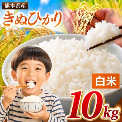 ふるさと納税 玉名市 【令和8年産】熊本県産 きぬひかり 白米 10kg