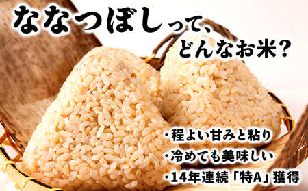 岩見沢産 じゅんかん育ち 峯さんの「ななつぼし」玄米 10kg(5kg×2袋)