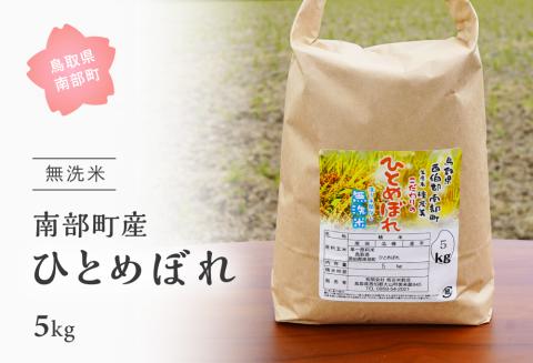 ＜令和6年産・新米＞鳥取県南部町産「無洗米ひとめぼれ」5kg お米 おこめ こめ コメ ヒトメボレ 無洗 板谷米穀店