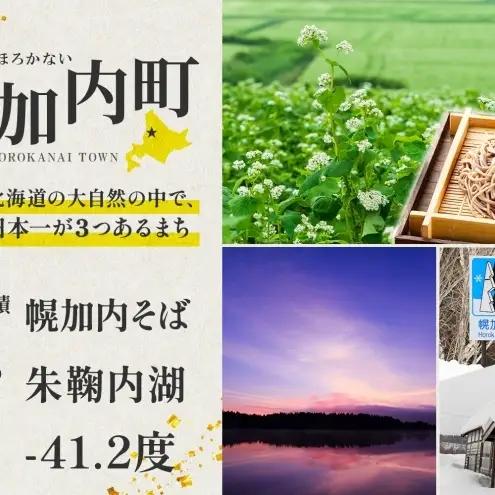 ほろたちスキー場 1回券 5セット スキー場 リフト券 パウダースノー 雪山 ウィンタースポーツ アクティビティ ゲレンデ レジャー チケット 体験 旅行 観光 アウトドア 新雪 北海道 幌加内町