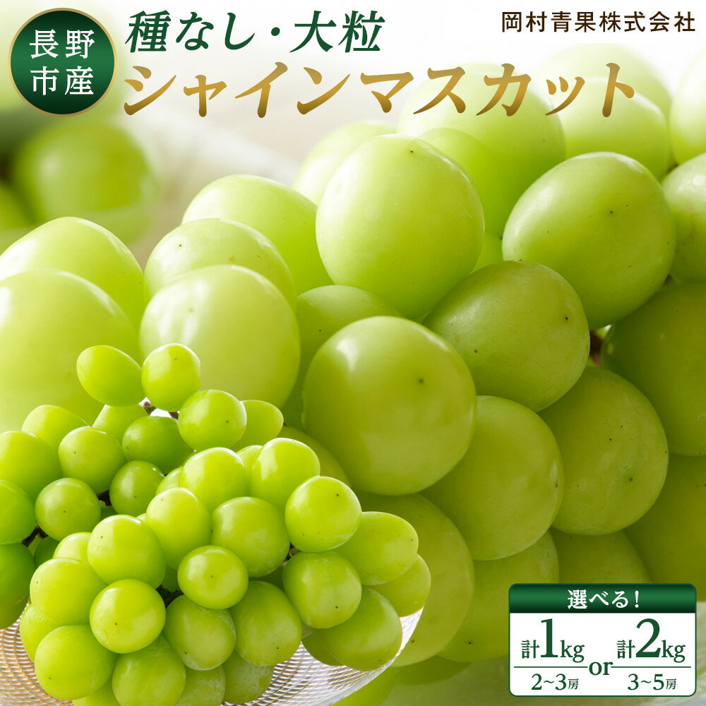 【ふるさと納税】金オ岡村青果株式会社　長野市産 シャインマスカット ＜ 選べる 1kg ／ 2kg ＞ 【2026年9月以降出荷分】フルーツ ぶどう 葡萄 果物 人気 種なし 数量限定 令和8年 産地 長野 | シャインマスカット ぶどう フルーツ 果物