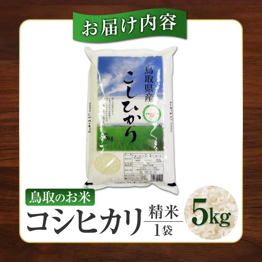 鳥取のお米 コシヒカリ 5kg 精米 コシヒカリ