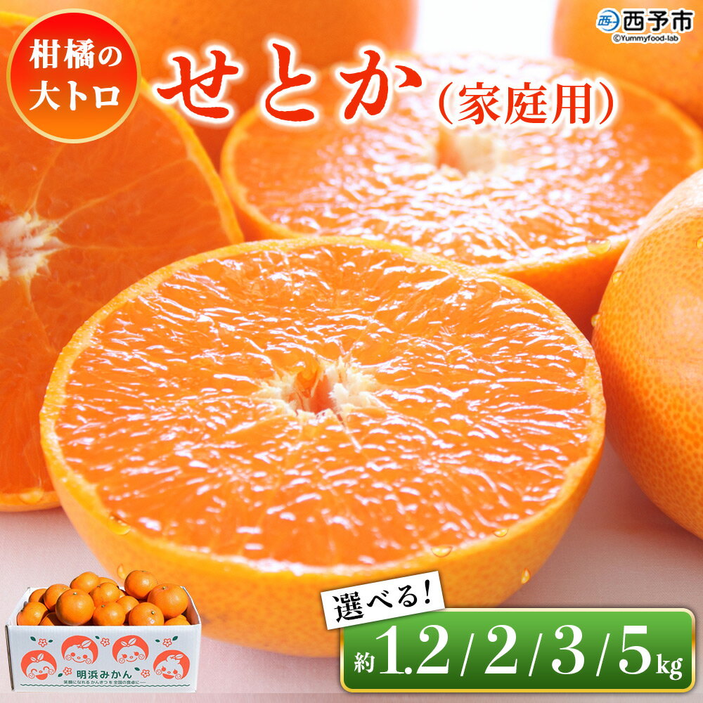 【ふるさと納税】＜せとか（家庭用）約1.2kg／2kg／3kg／5kg＞ 選べる 内容量 自宅用 訳あり ワケアリ 果物 くだもの フルーツ ミカン みかん セトカ 蜜柑 高級柑橘 柑橘の大トロ 柑橘 特産品 笑丸 愛媛県 西予市【常温】『2026年3月上旬～3月中旬に順次出荷予定』