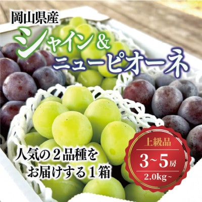 【2026年先行予約】シャインマスカット＆ピオーネ 3-5房入/計2kg～(岡山県産)【配送不可地域：離島】