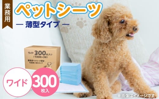 業務用ペットシーツ スリム（ワイド）100枚入×3袋セット _ 業務用 ペットシーツ スリム セット内容 ワイド 100枚入×3袋 犬用 吸収力 消臭力 薄型 トイレトレーニングシーツ 愛犬 犬 日用品 消耗品 ペット用品 福岡県 久留米市 送料無料 _Qx084-01
