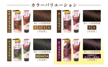 ダリヤ サロンドプロ カラーシャンプー・トリートメント 各3個セット【ローズブラウン】 / 稲沢市 / 日興商事株式会社[BMBK005-04]