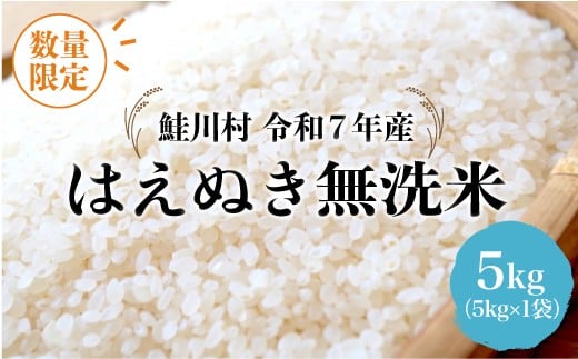 
                  ＜令和7年産 鮭川村 はえぬき＞【無洗米】5kg （5kg×1袋）＜配送時期指定可＞ ◇数量限定となります◇
                
