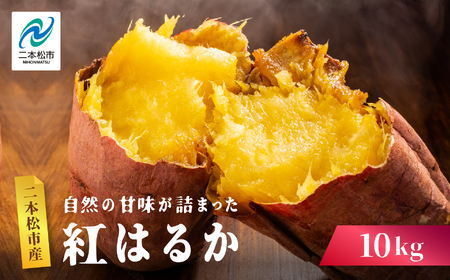 さつまいも 紅はるか 10kg ｜さつまいも【株式会社橋本】