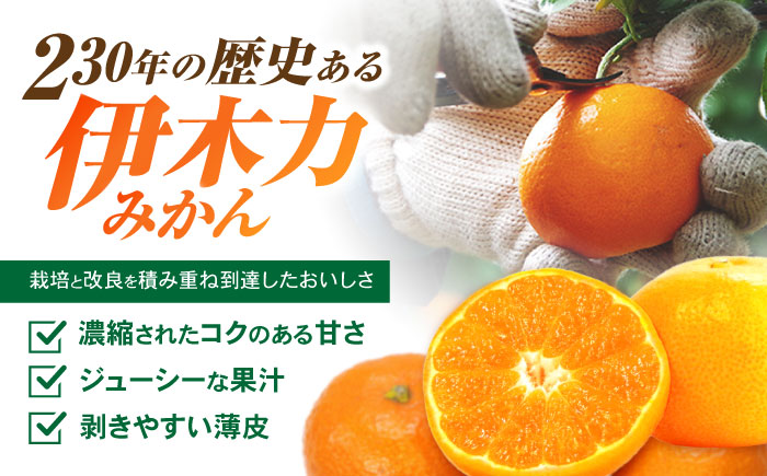 【先行予約】《伊木力みかん》家庭用みかん(10kg) / みかん ミカン 蜜柑 フルーツ 果物 柑橘 / 諫早市 / 山野果樹園 [AHCF001]