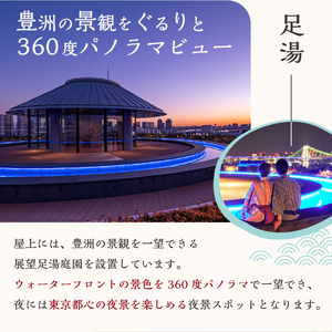 東京豊洲 万葉倶楽部　日帰り入館券１枚 【kt003-001-1】 温泉