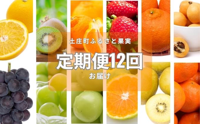 【 小豆島 】土庄町 ふるさと果実 12回 定期便 フルーツ 果物 季節 旬 キウイ キウイフルーツ デコポン 柑橘 いちご 苺 イチゴ 甘夏柑 びわ みかん 蜜柑 シャイン マスカット ぶどう 葡萄 くだもの 国産 香川 香川県 土庄 土庄町