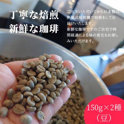 ふるさと納税 帯広市 熊乃珈琲 スペシャルティコーヒー【中煎り・深煎り】(豆) |  | 02