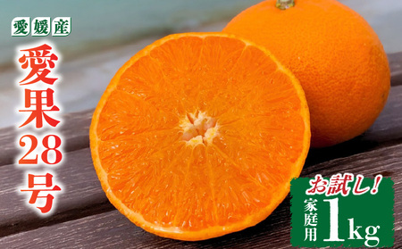 愛果28号 家庭用 お試し1kg(4～5個) 【先行予約 2025年11月下旬から発送】 | 愛果 あいか 紅まどんな 紅マドンナ と 同品種 みかん まどんな ワケアリ 訳あり B品 柑橘 みかん 果物 おすすめ 高級 人気 お取り寄せ グルメ ギフト 期間 ご当地 愛媛県 松山市 蓮果園 【RNK024】