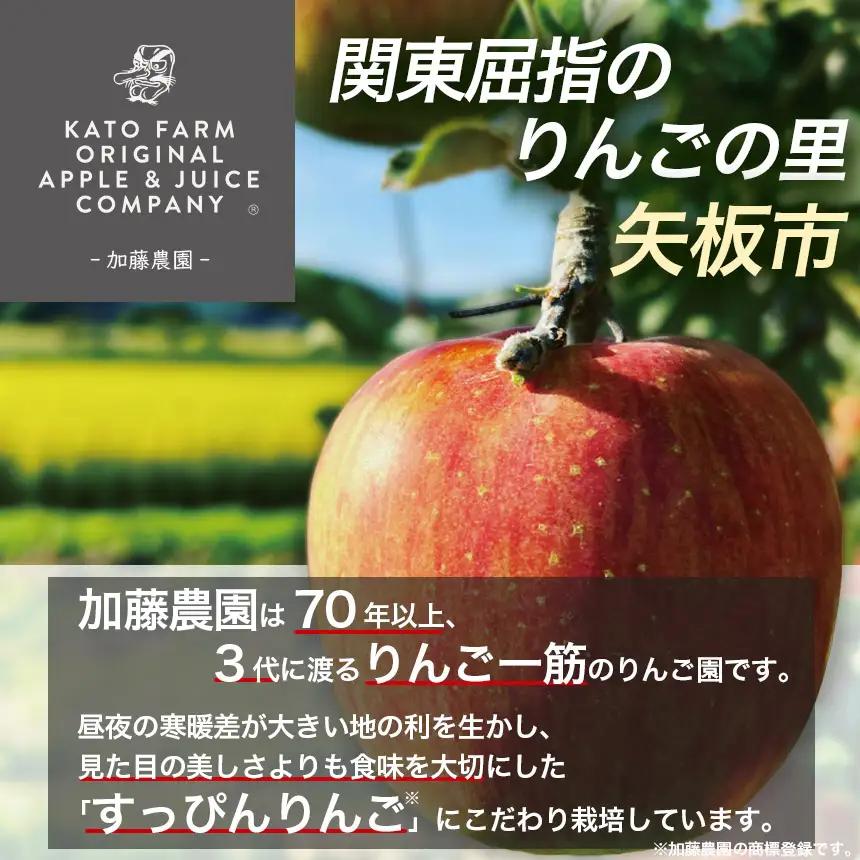 樹上完熟・葉とらず・すっぴんりんご [ サンふじ ] 5kg 栃木県産