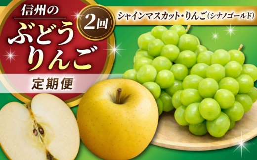 【2回定期便】信州のぶどう・りんご（シャインマスカット・シナノゴールド）｜JA信州うえだ農業協同組合 長野県 東御市産