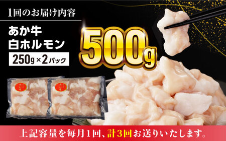 【全3回定期便】熊本県産 あか牛 白 ホルモン 合計1.5kg (250g×2P) 熊本ホルモン 赤牛ホルモン 褐牛 あかうし 褐毛和種 肥後 冷凍ホルモン 国産ホルモン 牛肉ホルモン 国産ホルモン 