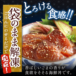 本格！ ごま醤油 海鮮丼 サーモン 12袋 | 熊本県 和水町 くまもと なごみ 魚 海鮮 肥後 海鮮丼 スライス 冷凍 漬け さかな 漬け丼 小分け 数量限定 人気 熊本県 熊本