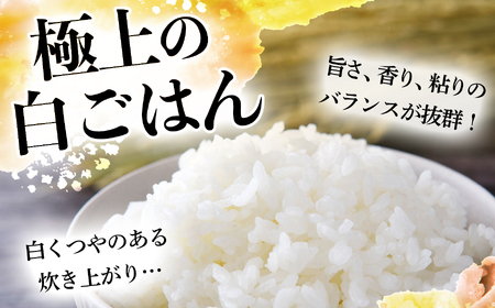 【令和7年産・無洗米】宮城県産 つや姫 10kg×3ヶ月