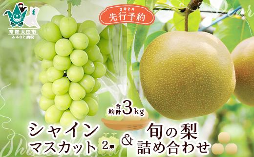 
【先行予約 数量限定】シャインマスカット2房と旬の梨詰め合わせ 計約3kg【茨城県 常陸太田市 桧山果樹園 梨 なし ぶどう ブドウ シャインマスカット フルーツ 高級 産地直送 限定品 贈り物 新鮮 お取り寄せ デザート ギフト 風味豊か 香り 上品 希少価値 珍しい 地域 甘い 限定 果物 果樹】
