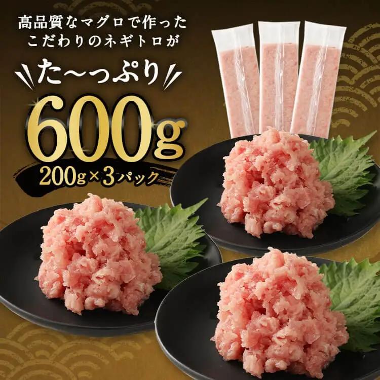 【ねぎとろ】高豊丸 ねぎとろ 3.6kg 【各600g×6回定期便】