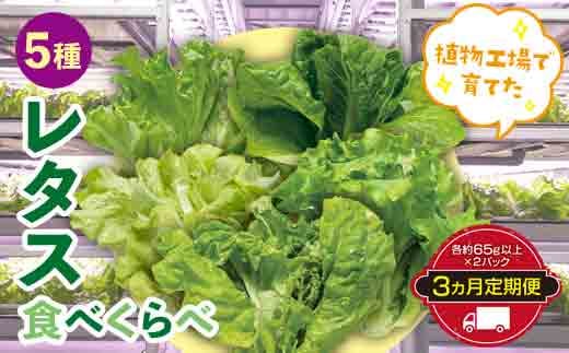 定期便 3ヶ月連続 植物工場で育てた5種のレタス食べくらべセット 10パック  野菜 セット 詰め合わせ 詰合せ 食品 F23R-785