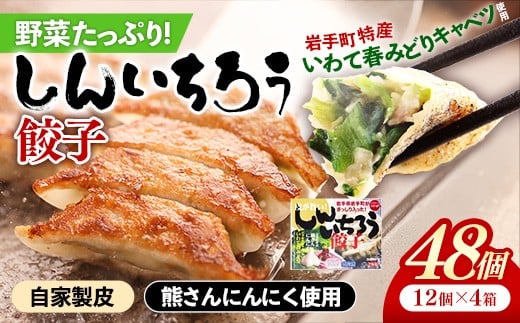 【キャベツの街】野菜たっぷり！しんいちろう餃子（12個入×4箱）【48個】お肉 おかず やまと豚 肉 焼き 中華 人気 餃子 ギョーザ ぎょうざ ギョウザ 豚肉 おつまみ 惣菜 岩手県 岩手町