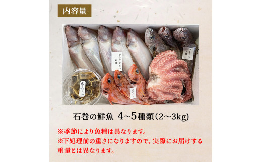 鮮魚 詰め合わせ 2～3kg（4～5種）下処理済み 漁師直送! 宮城県産 鮮魚 内臓処理済 お楽しみ 鮮魚ボックス 詰め合わせ 魚 食べ比べ お魚 とれたて 美味しい 新鮮 海鮮 魚介 刺身 焼き魚 