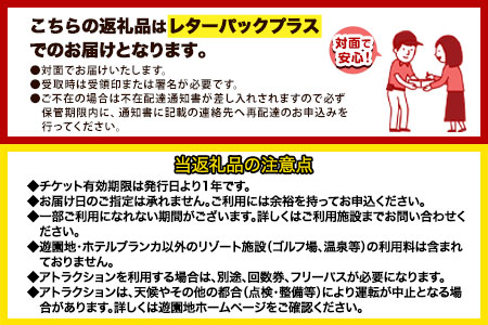 荒尾市 グリーンランドリゾートホテルブランカ 平日ペア宿泊券《30日以内に出荷予定(土日祝除く)》グリーンランドリゾート株式会社 レターパック配送 対面受け取り