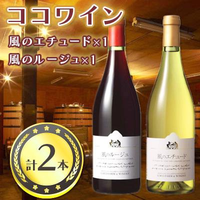 ふるさと納税 足利市 ココワイン　風のワインセット