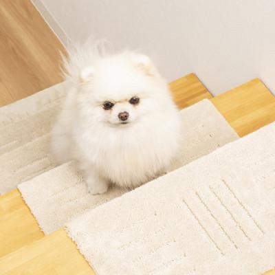 ふるさと納税 海南市 洗える階段マット　22×45cm　ベージュ　5枚組　ピタペトモ　犬・猫　吸着 |  | 01