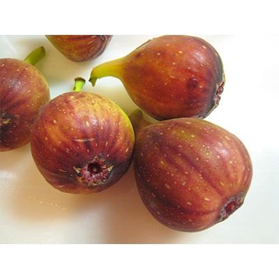 ふるさと納税 城陽市 いちじく糖菓　7個入り |  | 01