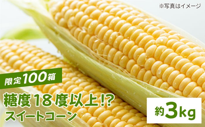 【先行予約】【農家直送】数量限定 糖度18度以上！？スイートコーン『恵味』約3kg【井﨑農園】