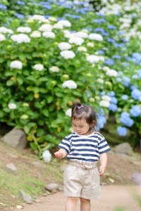 小田原城撮影（60分撮影/写真データ付き）