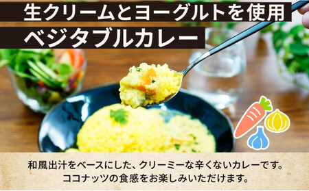 《無地熨斗》コーノスパイス ベジタブルカレー 200g×5パック スパイスカレー 和風出汁 クリーミー ココナッツ 小麦粉不使用 グルテンフリー  CONO SPICE コーノコーラ 愛知県 名古屋市