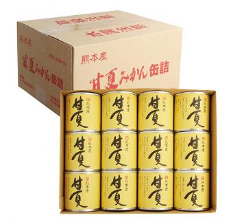 B46-26 甘夏缶詰（24缶入）