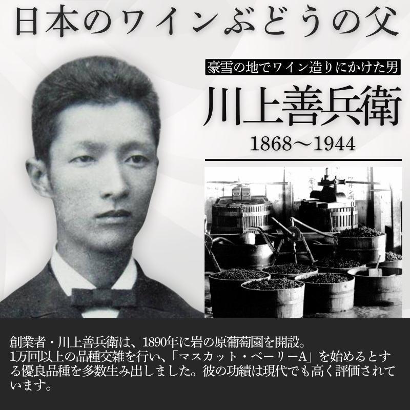 ワイン サクラアワード受賞 善スパークリングワイン ロゼ 6本 750ml スパークリング 酒 新潟 上越 最短3日で発送