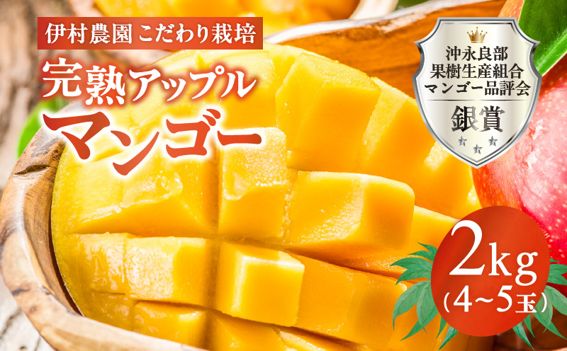 ■【先行予約】伊村農園こだわり栽培！完熟アップルマンゴー2kg（4～5玉）【7月中旬～8月上旬】　W026-002u