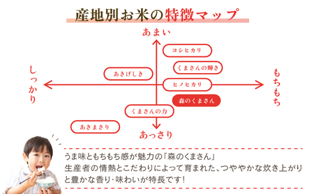 先行予約 令和7年産 森のくまさん 10kg 米 新米 白米 うるち米 お米 精白米 コメ ごはん 熊本県産精白米 ご飯 おこめ 精白米  ブランド米 単一米 国産 熊本県産 九州 熊本県 宇城市 先