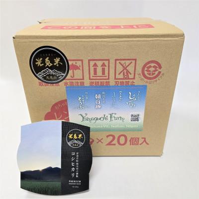 ふるさと納税 関川村 光兎米コシヒカリ レンジアップごはん(150g×20個)