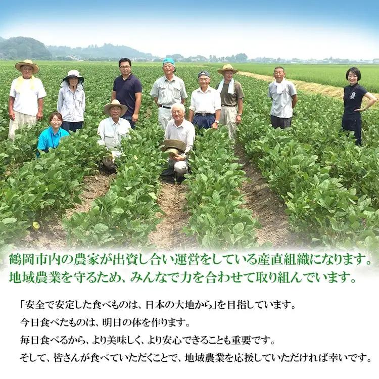 【令和8年産先行予約】山形県鶴岡特産　だだちゃ豆 1.6kg（200g×8袋）レンジ調理対応袋入　庄内産直センター　| 枝豆 豆 まめ マメ 野菜 産地直送 期間限定 夏野菜 旬 おつまみ ビール 香