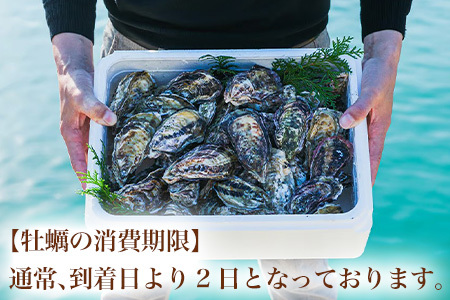 『先行予約』【12月中旬より順次発送】唐津産 殻付きいろは牡蠣 2kg(軍手・ナイフ付)期間限定 産地直送 殻付き 牡蠣 カキ 殻付き牡蠣 佐賀県 海鮮 BBQ 加熱用 お取り寄せ 贈り物 冬ギフト 