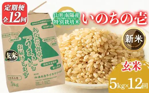 【令和8年産 新米 先行予約】 【金賞受賞農家】 《定期便12回》 特別栽培米 いのちの壱 (玄米) 5kg×12か月 《令和8年10月中旬～発送》 『あおきライスファーム』 山形南陽産 米 ご飯 農