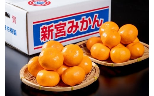 【先行予約】【ふるさと納税】完熟早生みかん 5kg | みかん ミカン 蜜柑 早生 極早生 ふるさと納税 5kg 佐賀県 太良町 有明海 柑橘 甘い 完熟 果物 フルーツ 紅みかん 盛田温州 新宮みかん園 佐賀県 太良町 L-54
