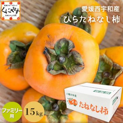 ふるさと納税 八幡浜市 《秋の味覚 種なしで食べやすい》 ひらたねなし柿 15kg (7.5kg×2箱)【H20-40】