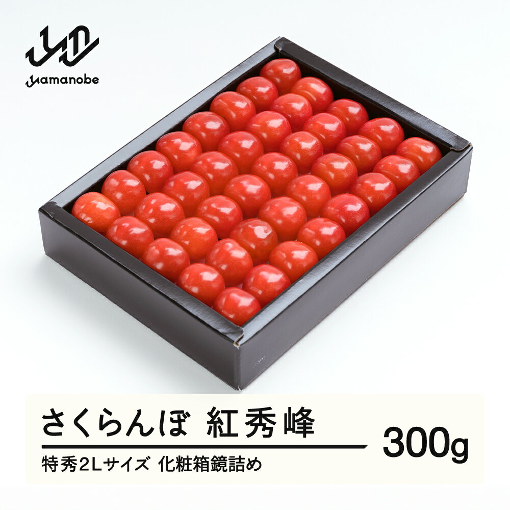 【ふるさと納税】《先行予約》さくらんぼ 紅秀峰 特秀2Lサイズ 300g 化粧箱鏡詰め 2026年産 令和8年産 山形県産 送料無料 ns-bst2x300