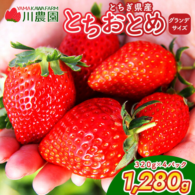 【ふるさと納税】【選べる配送月】【訳あり】とちおとめ 320g×4パック 約1.2kg グランデサイズ