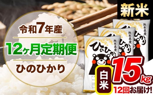 【12ヶ月定期便】新米 令和7年産 定期便 ひのひかり 15kg 《お申込み翌月から出荷》令和7年産 熊本県産 ふるさと納税 白米 精米 ひの 米 こめ ふるさとのうぜい ヒノヒカリ コメ 熊本米