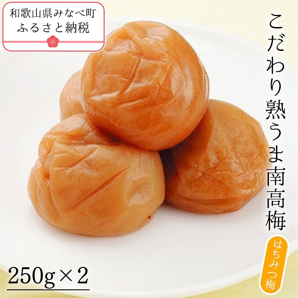 【ふるさと納税】こだわり熟うま南高梅 はちみつ梅 250g×2 | 《日本一の梅の産地》 無添加 減農薬 自家農園 和歌山 みなべ町 坂忠商店 梅干 梅 ウメ うめぼし 紀州梅干 南高梅 ギフト